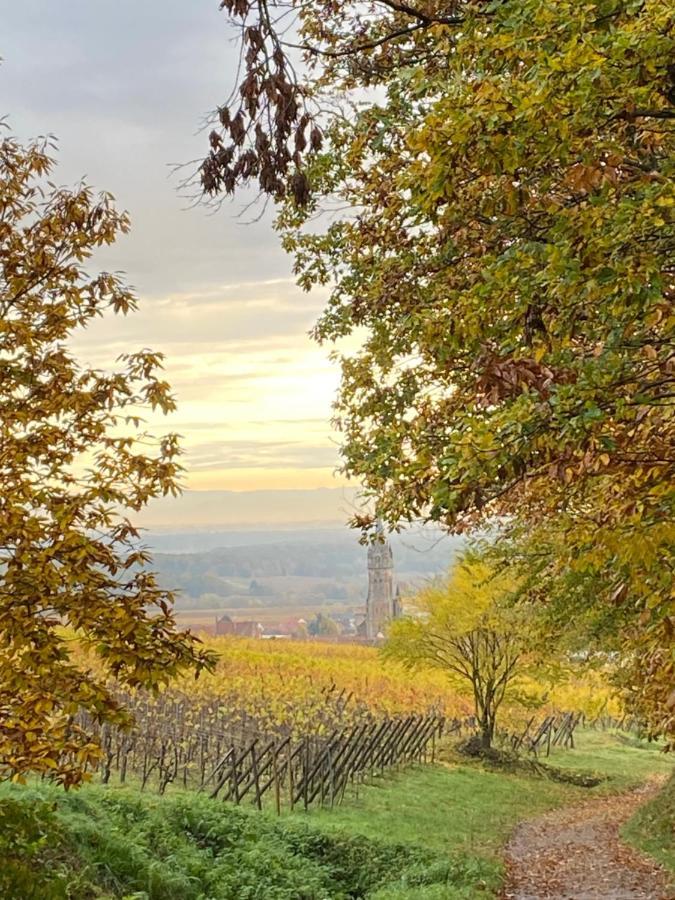 Gite Des Forgerons Dambach-la-Ville